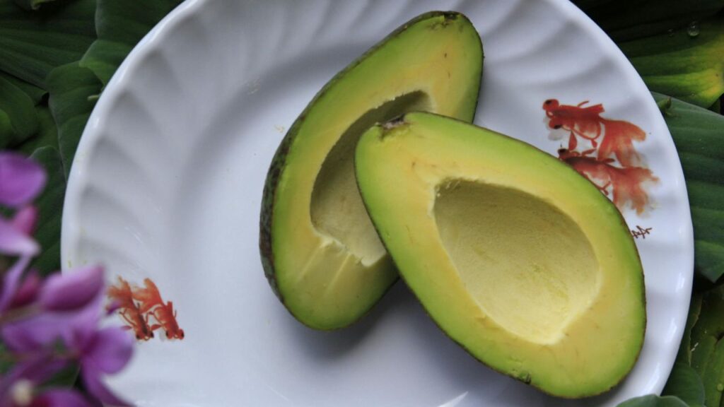 avocado 