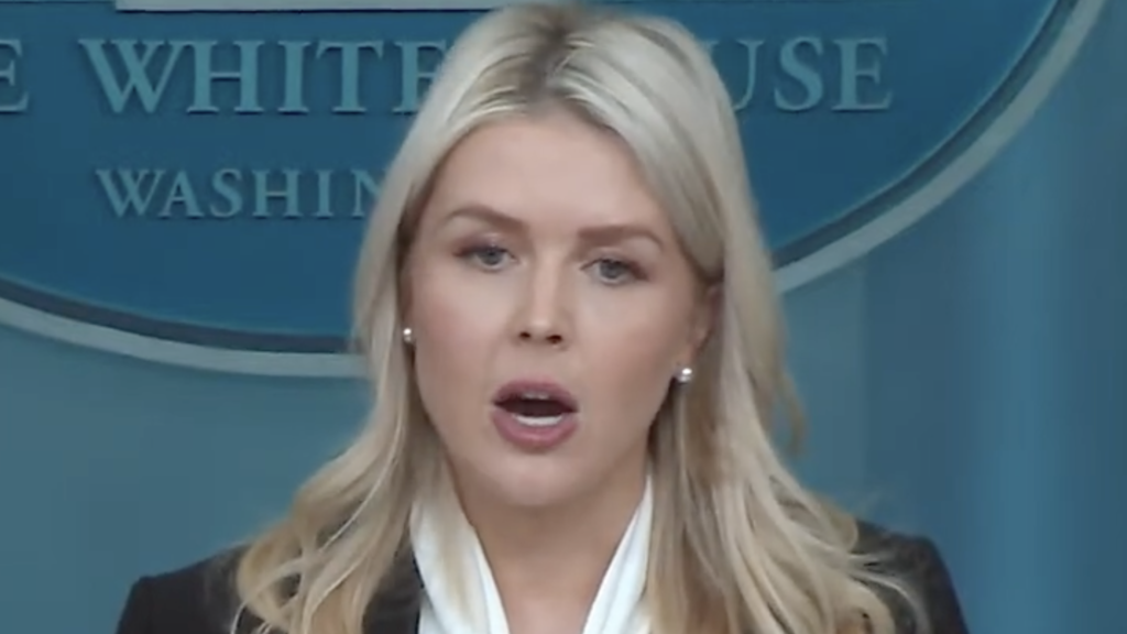 Karoline Leavitt, Youngest White House Press Secretary in U.S. History, Briefs the World on Ongoing Tensions — “It's Safe to Say That Operation Epic Fury Has Been a Resounding Success”