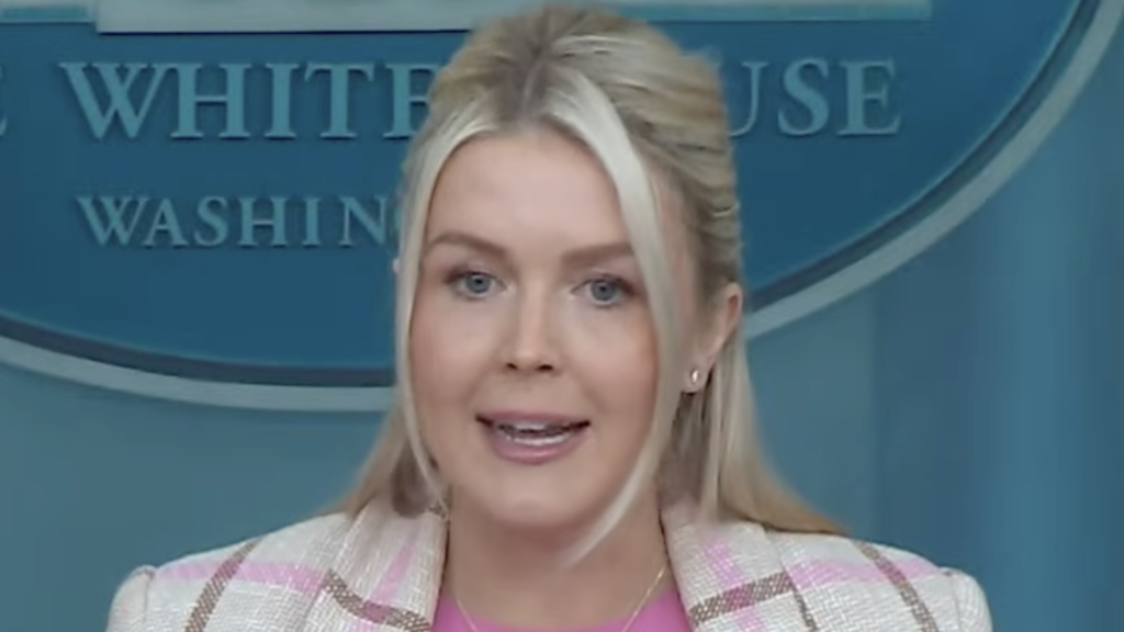 “The SAVE America Act Does Not Prohibit Anyone from Voting, with the Exception of Illegal Aliens,” — Karoline Leavitt Pushes for Voter ID