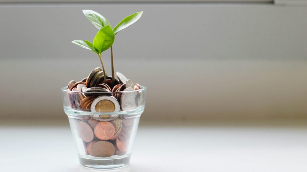 green plant in clear glass cup