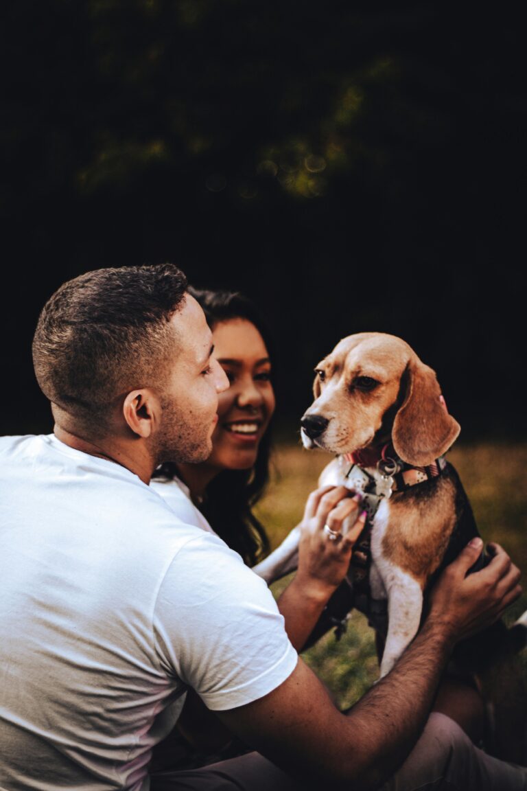 The best dog breeds for families who don’t have time for constant grooming or upkeep