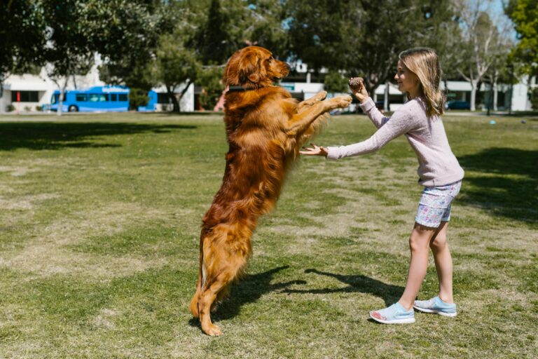 The dog breeds that tend to do better in busy households with kids and constant noise