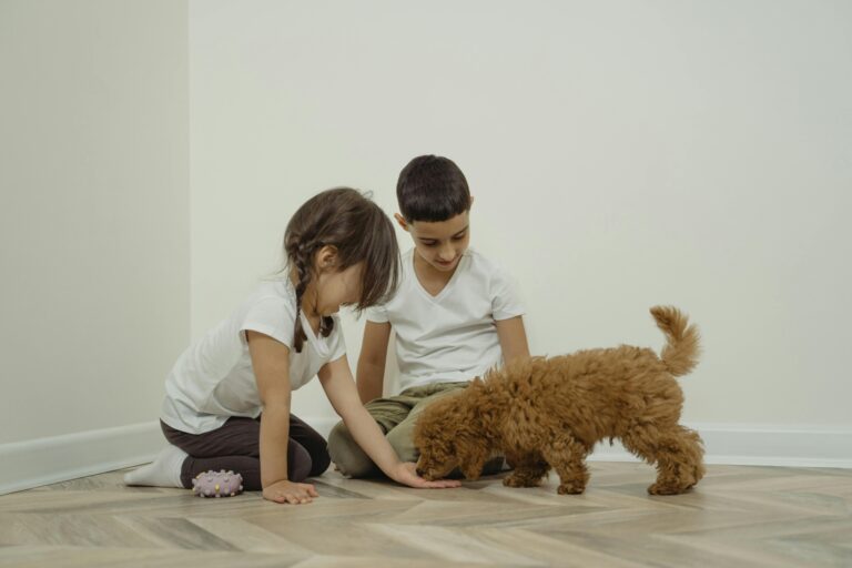 I let my kids pick out a puppy, but I didn’t expect the responsibility to fall entirely on me