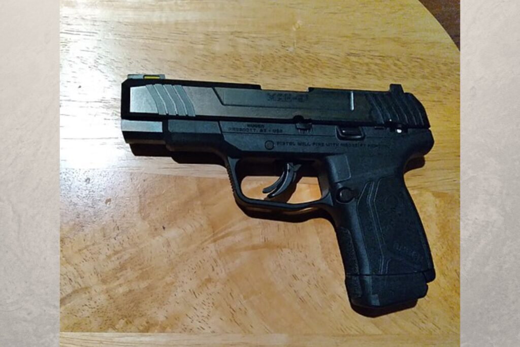 Ruger Max-9