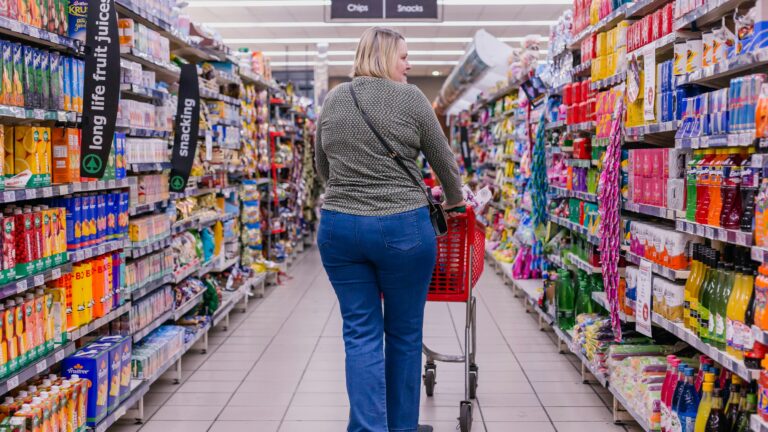 a person pushing a shopping cart in a store