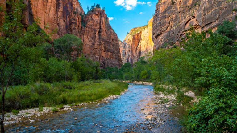 The beautiful views of the Zion national park canyon United States