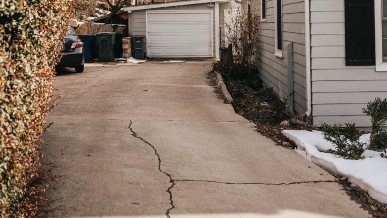 David Guerrero/Pexels