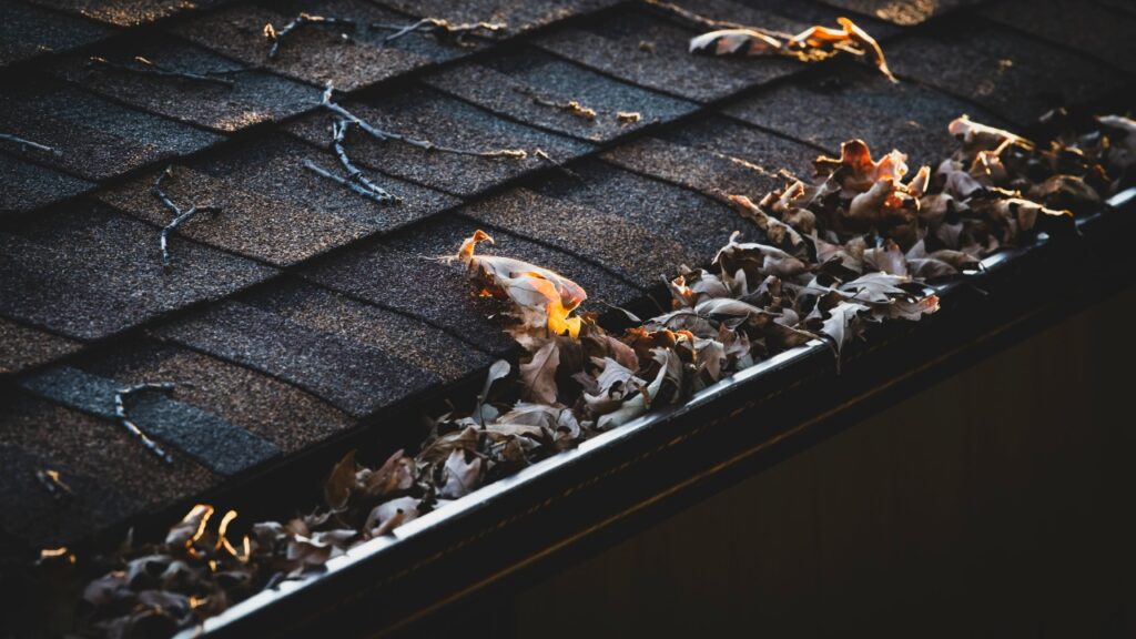 jonmsailer/Unsplash