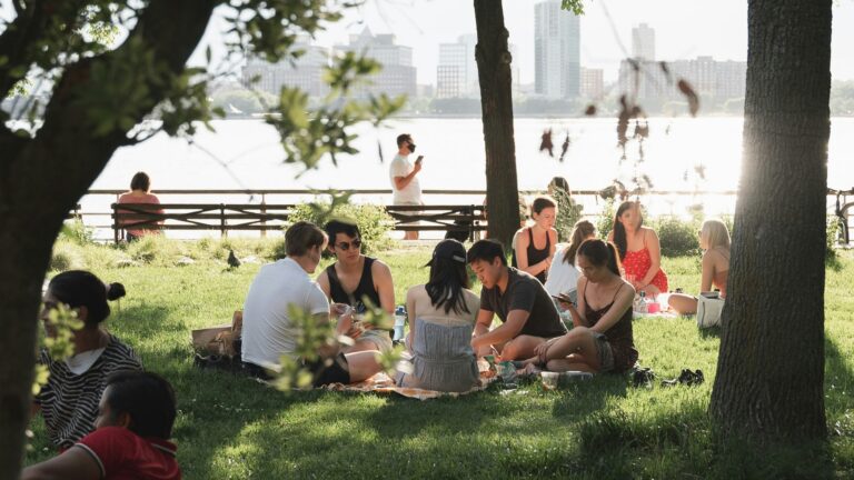 people sitting on green grass field near green trees during daytime
