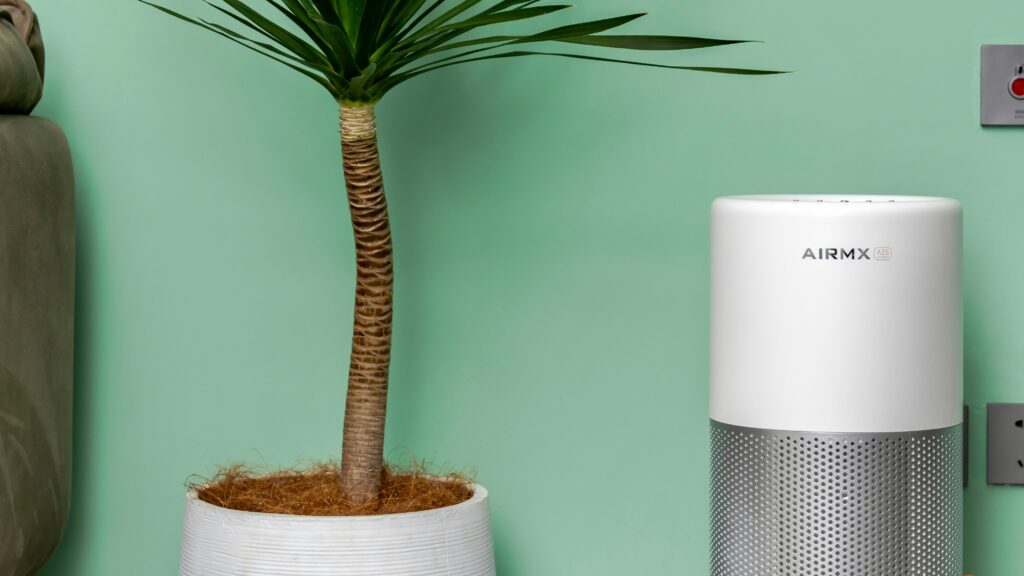 a plant in a pot next to an air purifier