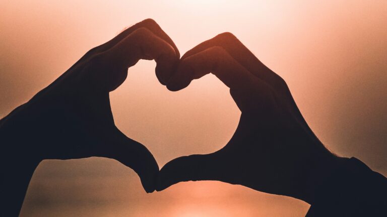 heart shape hand illustration