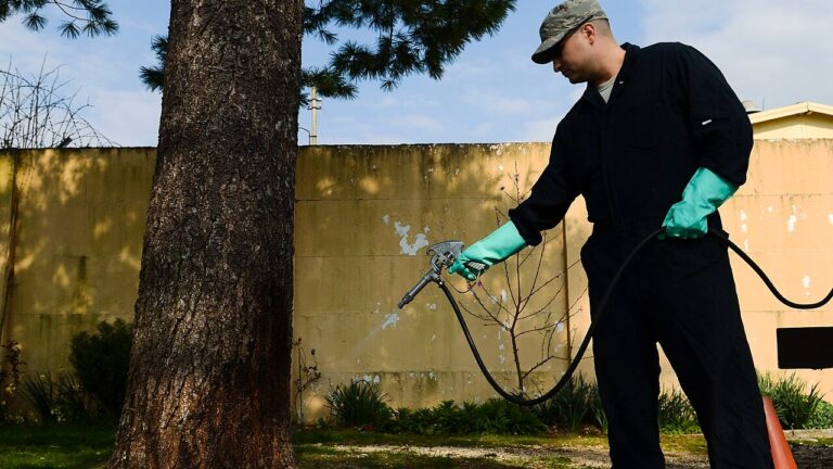 U.S. Air Force Tech. Sgt. Adrian Pozo-Romero, 31st Civil Engineer Squadron pest control technician, sprays a tree with pesticide to kill and keep away pine processionary caterpillars at Aviano Air Base, Italy, March 23, 2015. The caterpillars not only destroy pine trees, but also their loose hair can cause respiratory or allergic reactions for some people and animals. (U.S. Air Force photo by Senior Airman Austin Harvill/Released)