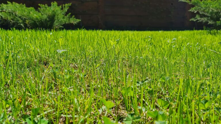 a field of green grass with a brick building in the background