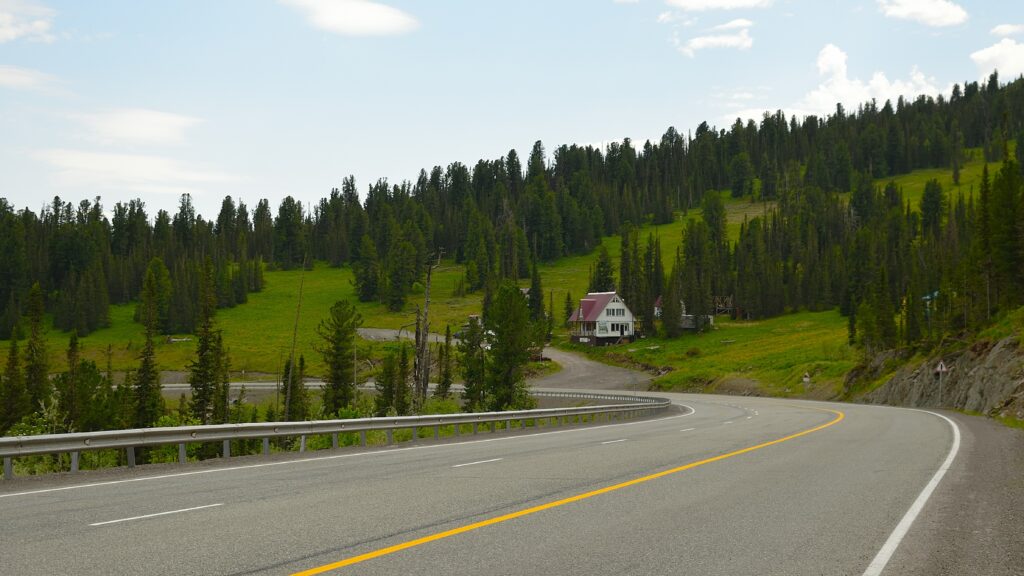 a road with trees on the side