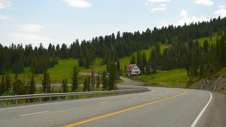 a road with trees on the side