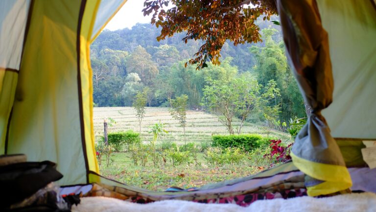 a view of a field through a tent