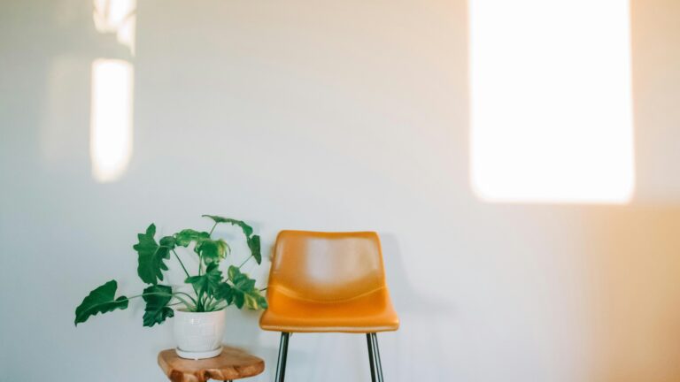 a chair and a potted plant in a room