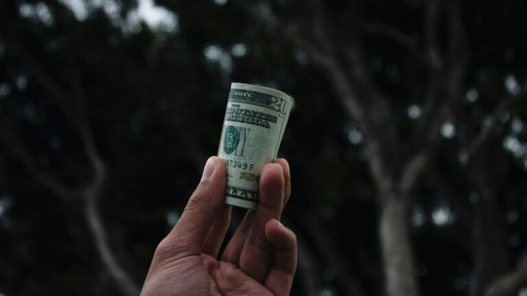 person holding U.S. dollar banknote