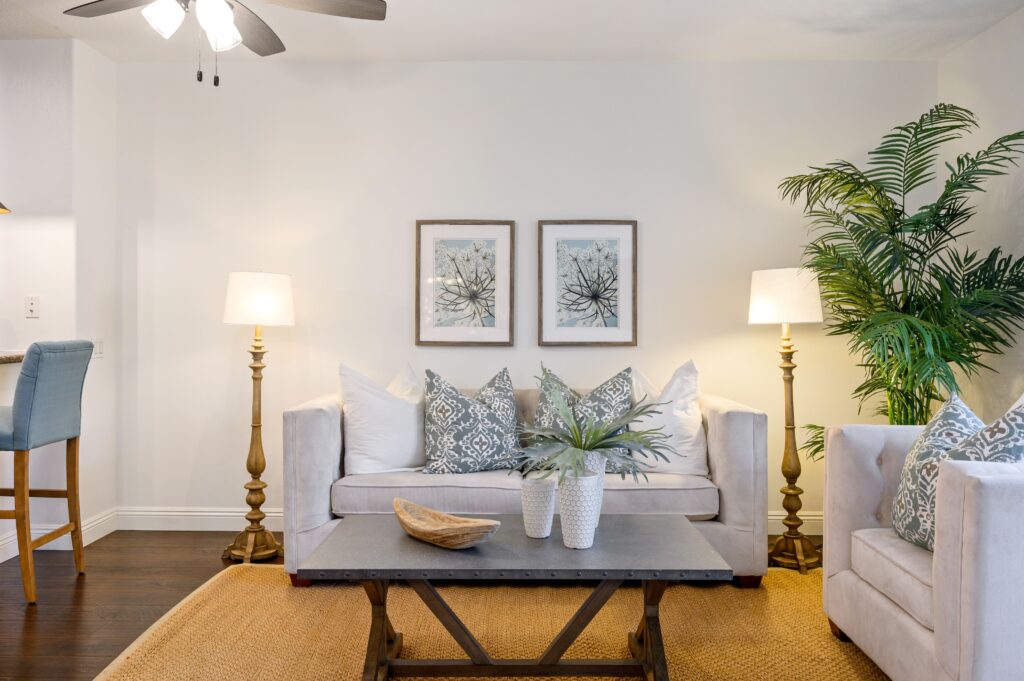 cozy living room with good lighting