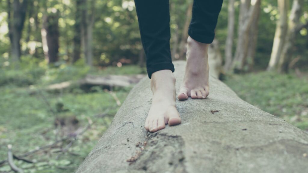person walking on branch