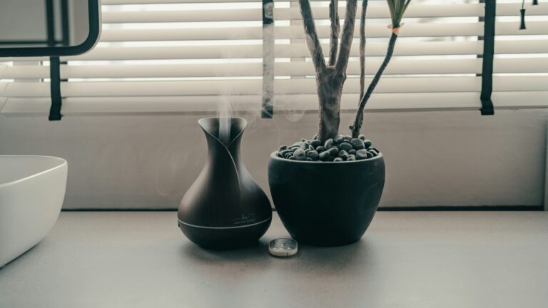 green plant on black pot