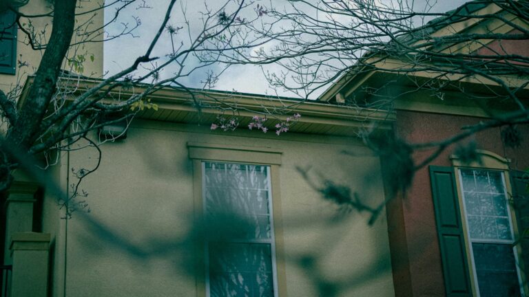 Bare tree branches in front of houses under cloudy sky