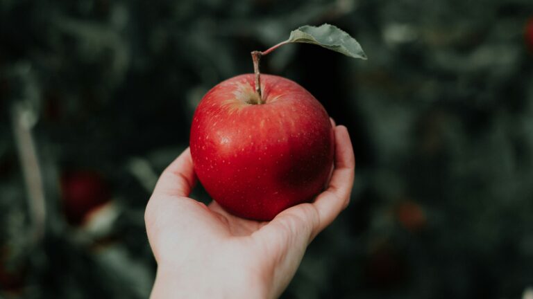 one red apple