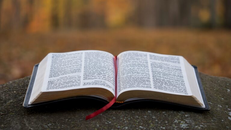 bible page on gray concrete surface