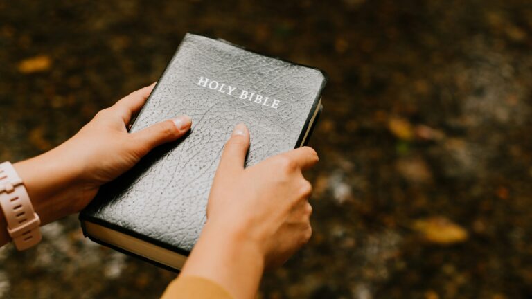 Hands holding a black Holy Bible against a blurred natural background