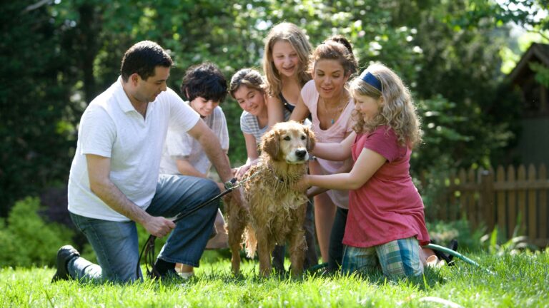 A family washing a golden retriever in a sunlit green backyard