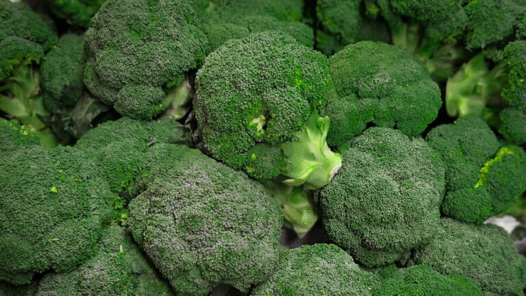 A pile of green broccoli sitting next to each other