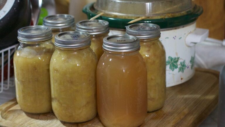 Several mason jars filled with homemade applesauce
