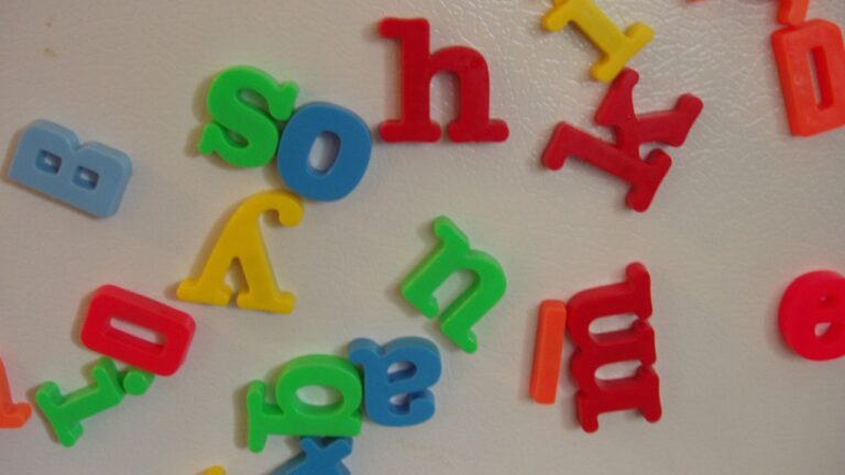 Refrigerator magnets — Image Credit: lylamerle - CC BY 2.0/Wiki Commons