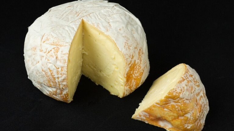Wheel of raw-milk cheese — Image Credit: Frank Schulenburg - CC BY-SA 4.0/Wiki Commons