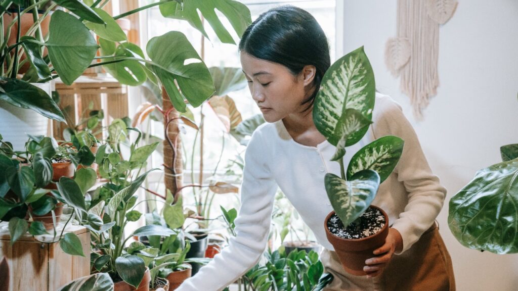 Sasha Kim/Pexels