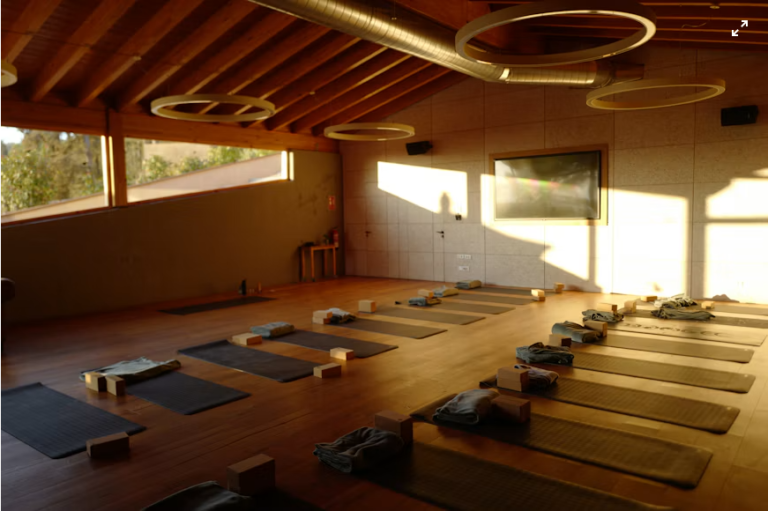 Boutique-fitness founder Anne Mahlum paid eight weeks of back wages to more than 130 Y7 Yoga workers out of her own pocket after the chain’s owner stopped paying them.
