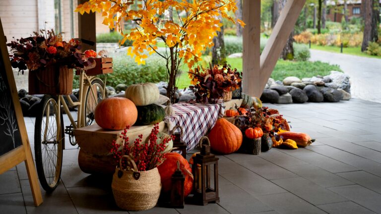 Autumn harvest decorations with pumpkins and gourds