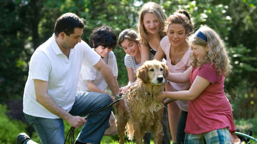 A family washing a golden retriever in a sunlit green backyard