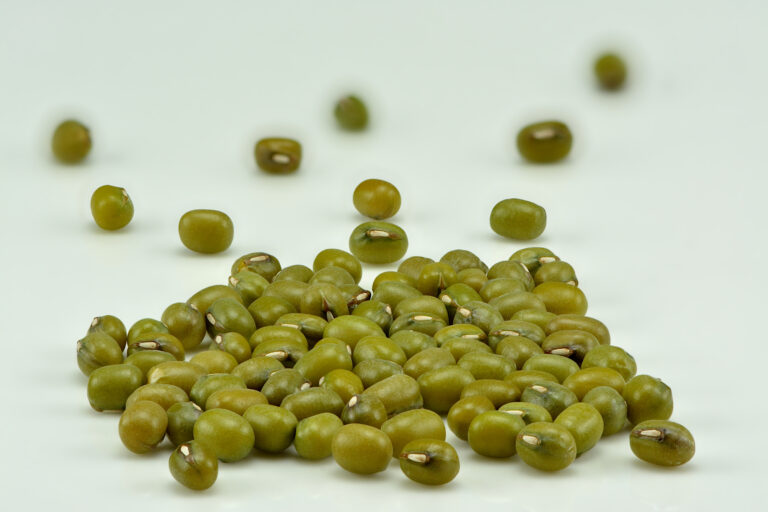 A close-up of mung beans